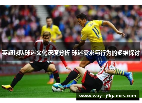 英超球队球迷文化深度分析 球迷需求与行为的多维探讨
