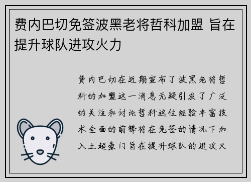 费内巴切免签波黑老将哲科加盟 旨在提升球队进攻火力