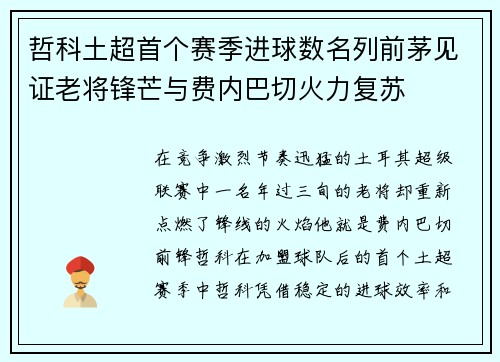 哲科土超首个赛季进球数名列前茅见证老将锋芒与费内巴切火力复苏